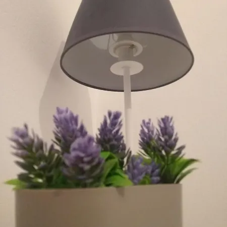 شقة Demy's Studio أخارافي