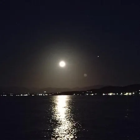 Daire Demy's Studio *