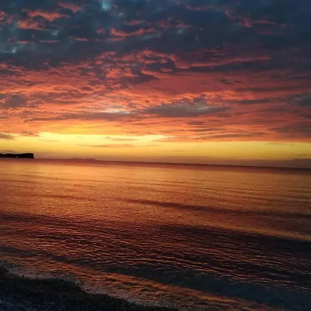 Demy's Studio * アカラヴィ